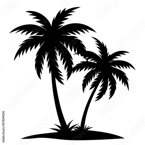 palm tree silhouette