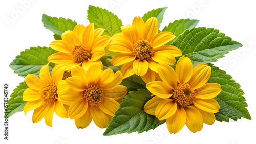 A vibrant bouquet of yellow flowers with lush green leaves isolated on transparent background