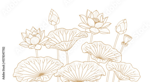 Elegant Lotus Flower and Leaf Outline Design - Floral Vector Art