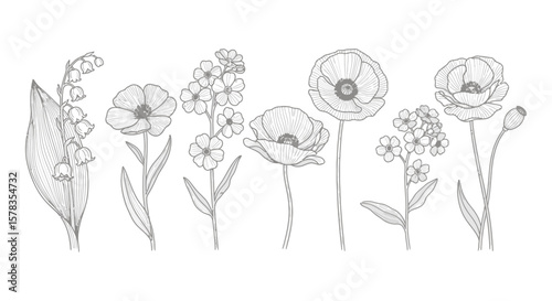 Botanical Line Art Delicate Flower Vector Set for Elegant Designs