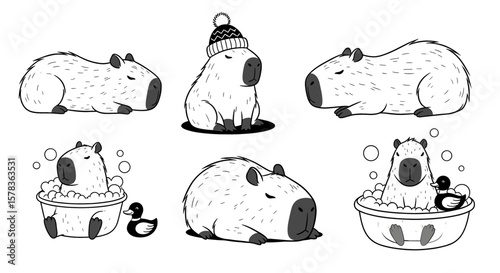Capybaras pose in various situations. Cute animal, pet rodent, adorable mammal, cartoon illustration