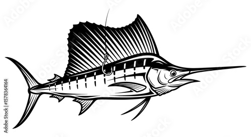 Marlin fish is caught on fishing line. Ocean fishing, sport, wildlife, nature.