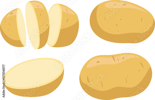 Vector illustration of potato. Half peeled potato with the twirling skin peel over it, composition sliced potato isolated white background for menu and packaging illustration