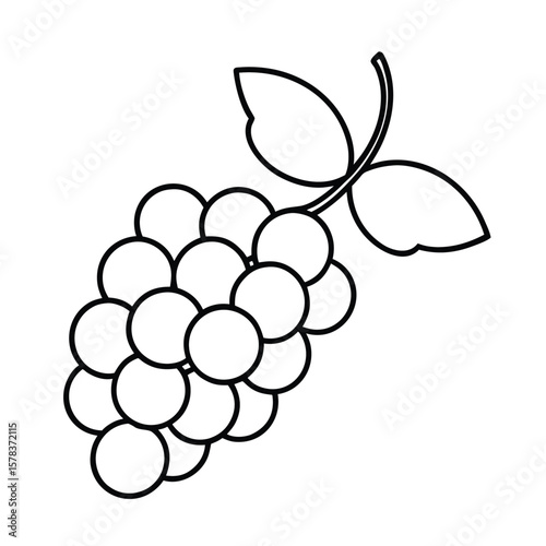 Grapes bunch with line art stems on white background