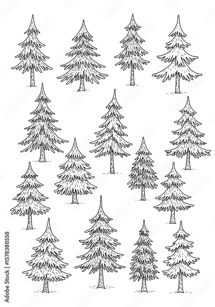 Obraz premium Evergreen Sketchbook