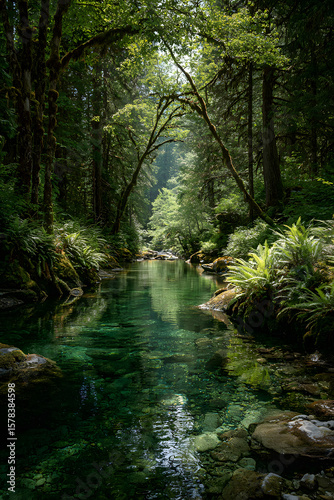 river, water, forest, stream, nature, waterfall, landscape, creek, green, rocks, tree, spring, rock, summer, mountain, brook, trees, stone, flow, flowing, park, cascade, natural, wood, fall