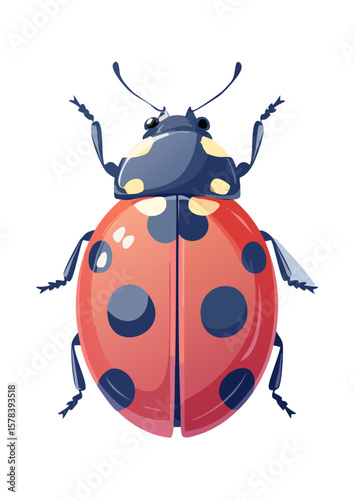 Flat Vector Illustration of a Cute Cartoon Ladybug