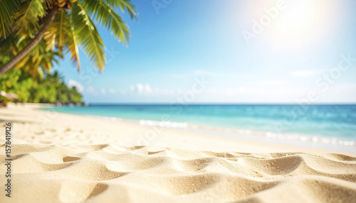 Tropical beach with golden sand and palm trees under bright sunny sky