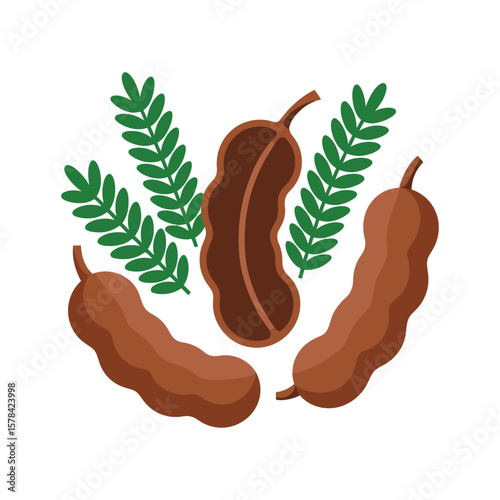 Sweet Tamarind Exploring the Tropical Fruit's Unique Flavor and Health Benefits