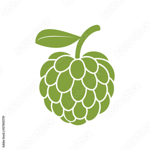 Custard Apple A Detailed Guide to this Unique Tropical Fruit