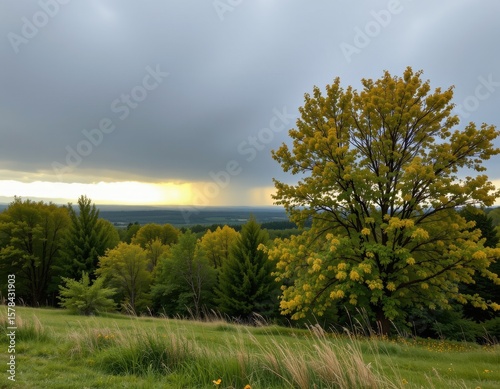 a cold breeze replaces the warm sun, trees creak and moan in rising wind, and a thick band of clouds stretches across the entire sky