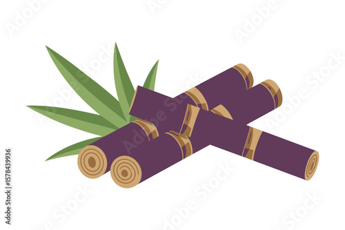 Vector illustration set of purple sugarcane cartoon flat style design. Sugarcane plant with stem and leaf. Sugar plant agricultural crops, cane leaf, sugarcane juice vector icons, logo, template pack