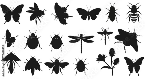 Diverse collection of insect silhouettes showcasing various species and forms against white backdrop