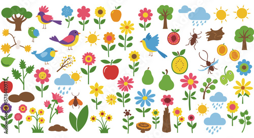 Colorful nature elements vector illustration with birds, flowers, fruits and insects