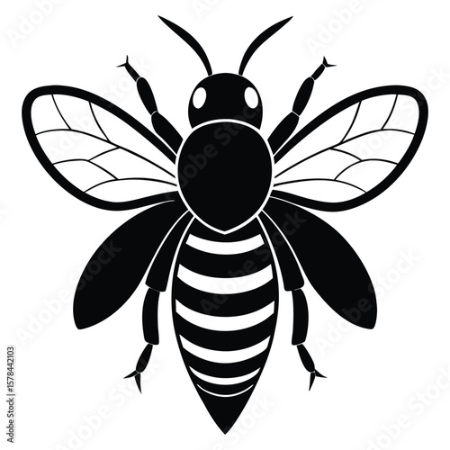 Black and white bee silhouette collection illustration