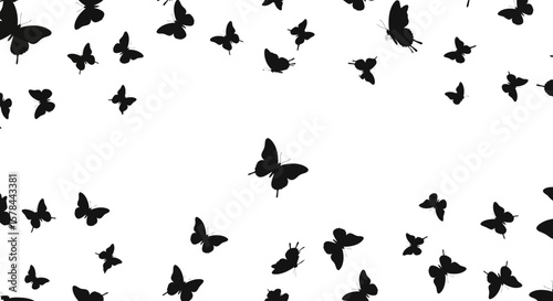 Elegant butterfly silhouettes fluttering on a pristine white backdrop creating a serene atmosphere
