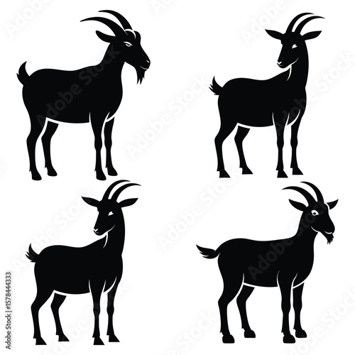 Black Sheep Silhouettes Set on White Background