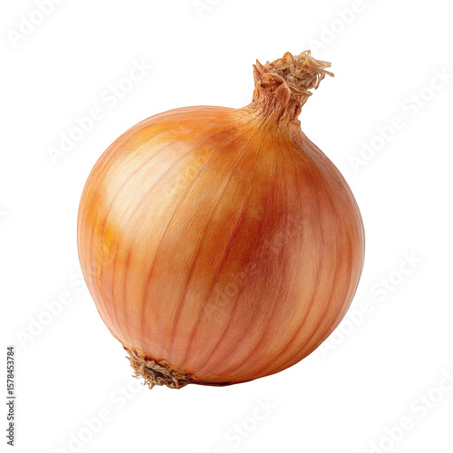 Wallpaper Mural A single brown onion, isolated on transparent background, showcasing its textured skin and natural form, a staple ingredient in countless cuisines Torontodigital.ca