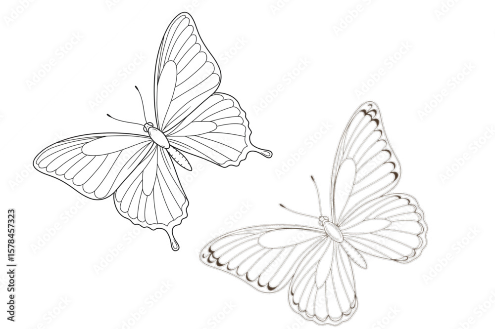 Fototapeta premium Two outlined butterflies are displayed, perfect for coloring books, logos, spring themes, or nature-inspired designs that need an elegant touch.