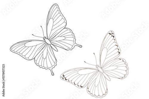 Two outlined butterflies are displayed, perfect for coloring books, logos, spring themes, or nature-inspired designs that need an elegant touch.