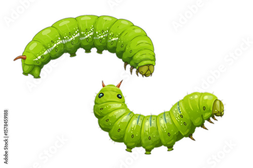 Graceful green caterpillars design is perfect for nature themed projects, children's designs, or educational content featuring insect life cycles.