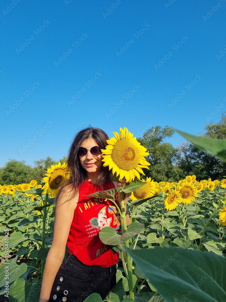girl in a sunflower field girl in a sunflower field