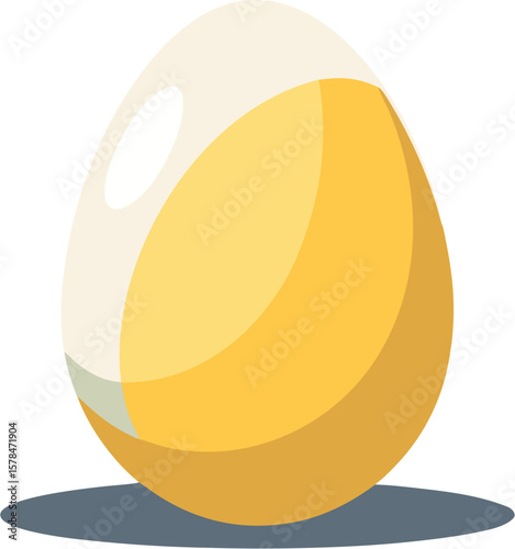 vector illustration of an egg