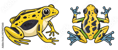 Poison Dart Frogs in Different Poses Flat Vector Collection, Minimal Illustrations of Tropical Amphibians in Sitting, Crawling, and Jumping Positions on White Background