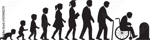 Life cycle and aging process. Person growing up from baby to old age
