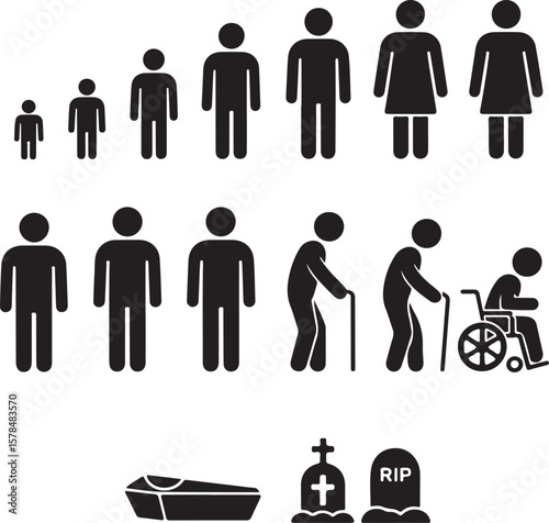 Man Aging Age Human Life Young Growing Old Process Stage 