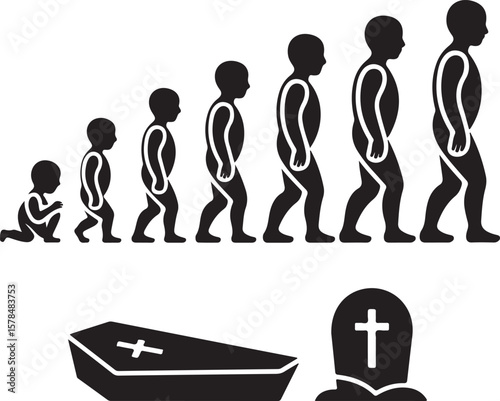 Man Aging Age Human Life Young Growing Old Process Stage 