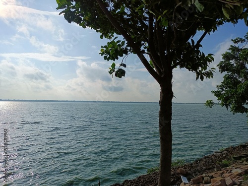 Serene Lakeside View with Tree Silhouette and Sunny Sky