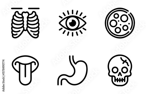 Medical Anatomy Line Icons Set . Human Body Parts And Outline Vector Illustrations.
