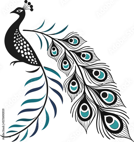 peacock feather vector
