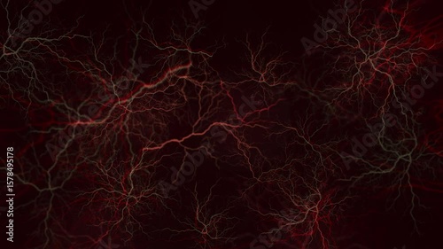 Wallpaper Mural Human veins biological background Torontodigital.ca