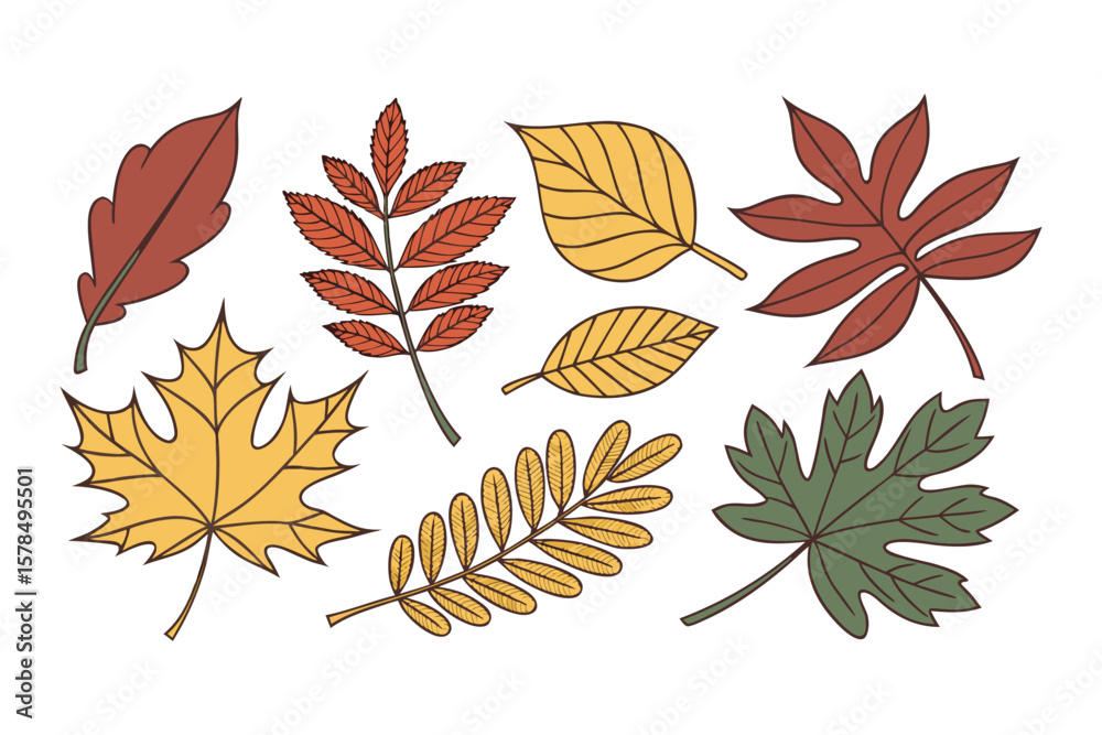 Obraz premium Hand Drawn Autumn Leaves Collection, Colorful Fall Foliage Vector Illustration, Isolated Maple, Oak, and Other Leaf Set on White Background