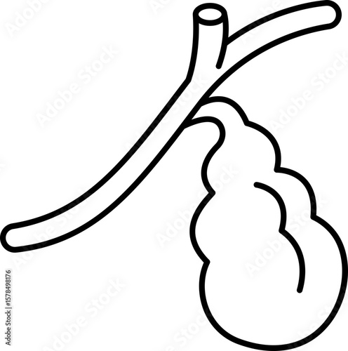Gallbladder Icon Illustrations