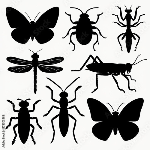 Collection of black insect silhouettes on white background