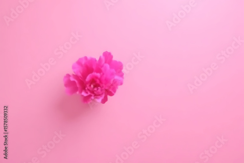 Single vivid pink peony floating on gradient background with artistic lighting, ample blank space for text overlay