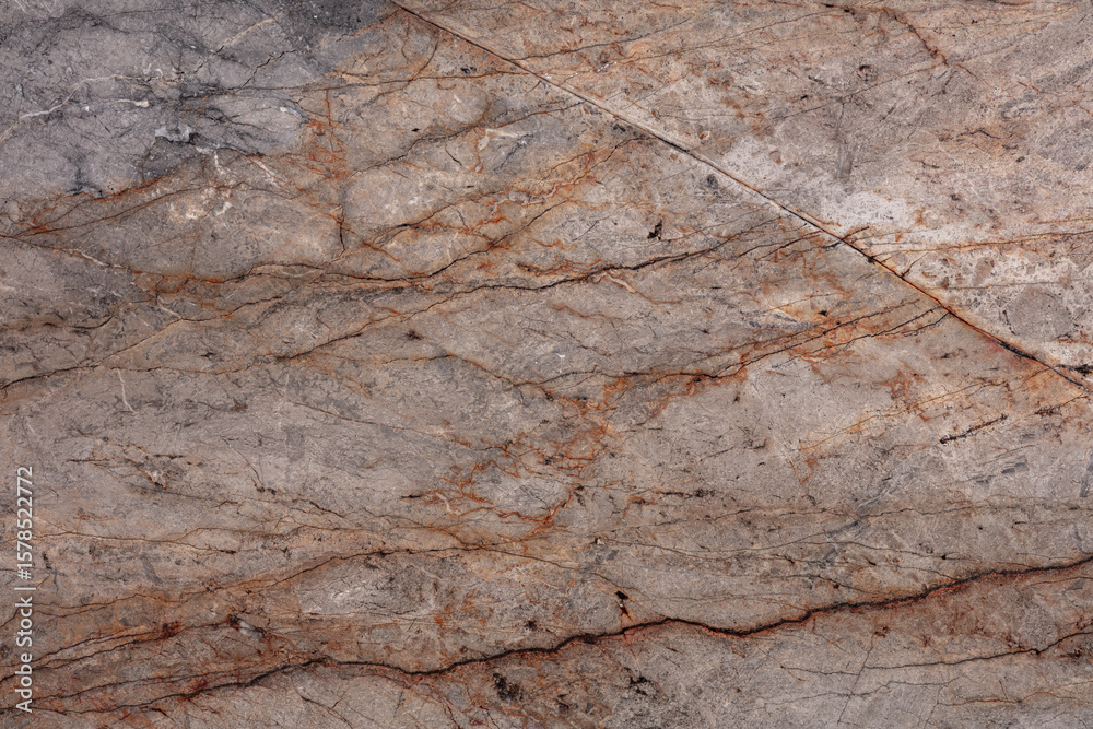 Fototapeta premium Silver Roots Marble background, texture in stylish colors for your interior work.