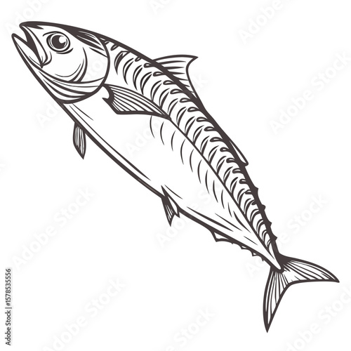 Realistic Hand-Drawn Dried Mackerel Fish Illustration, Transparent Background. Perfect for: Japanese New Year, Korean Chuseok, traditional food menus
