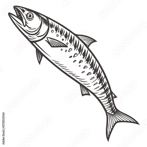 Realistic Hand-Drawn Dried Mackerel Fish Illustration, Transparent Background. Perfect for: Japanese New Year, Korean Chuseok, traditional food menus