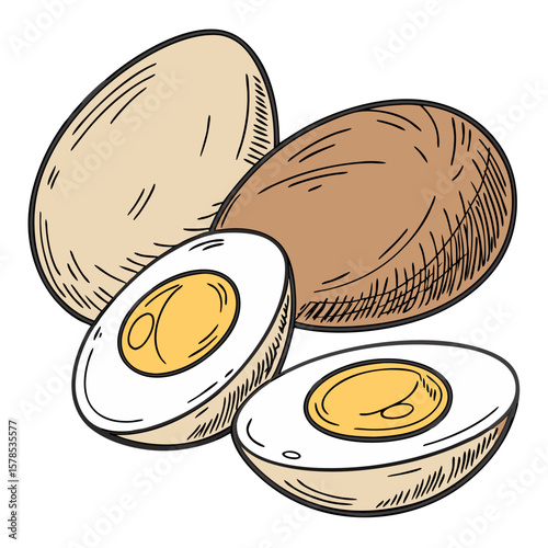 Whole Eggs and Halved Yolk Illustration, Hand-Drawn Style on Transparent Background. Perfect for: Easter, protein-rich breakfast menus, brunch settings
