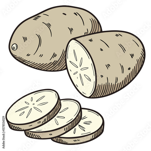 Hand-Drawn Potatoes and Slices Illustration, Isolated on Transparent Background. Perfect for: Thanksgiving, comfort food campaigns, autumn harvest
