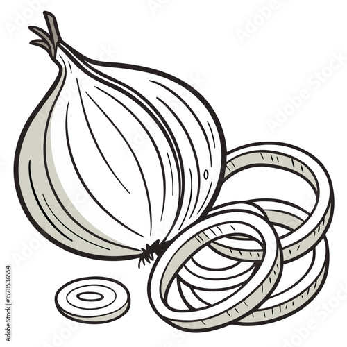 Whole Onion and Sliced Rings, Hand-Drawn Vegetable Illustration. Perfect for: Soup season promotions, culinary school infographics