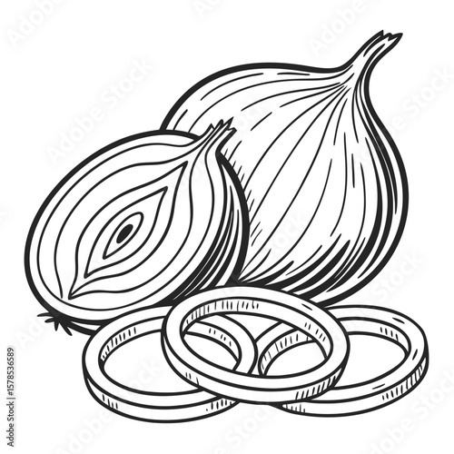 Whole Onion and Sliced Rings, Hand-Drawn Vegetable Illustration. Perfect for: Soup season promotions, culinary school infographics