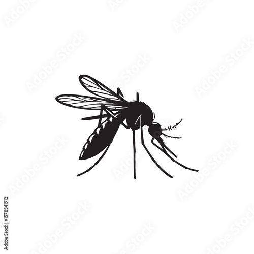 mosquito sucking blood