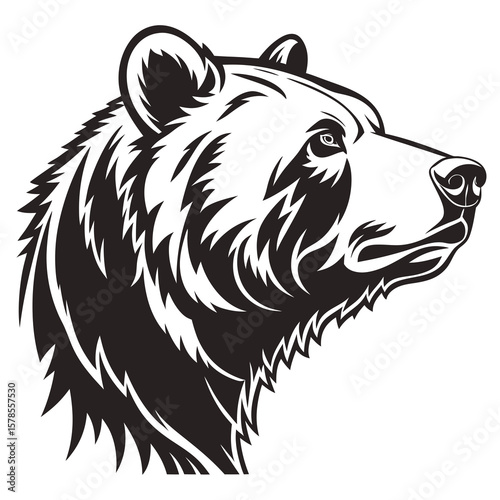 vector illustration of brown bear