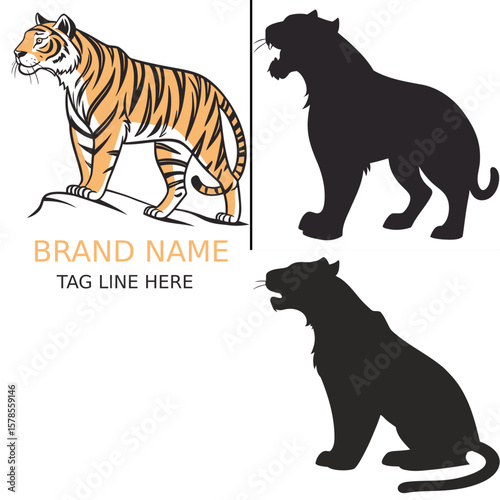 tiger vector illustration
