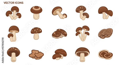 Mushroom Variety Vector Icons: Edible Fungi Collection